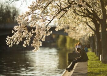 cum-va-fi-vremea-pana-pe-6-aprilie-urmeaza-temperaturi-diferite-fata-de-normalul-perioadei-–-hotnews.ro