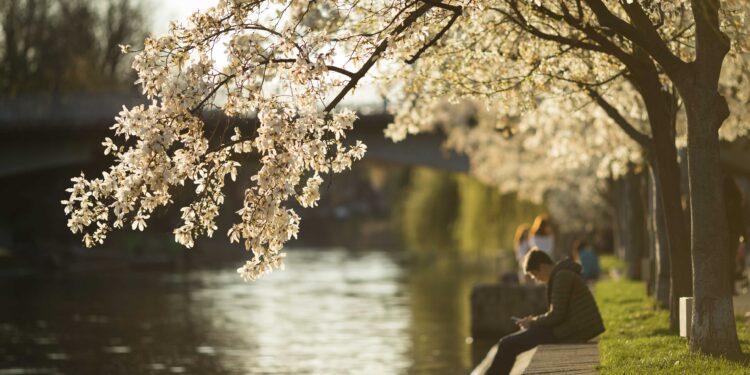 cum-va-fi-vremea-pana-pe-6-aprilie-urmeaza-temperaturi-diferite-fata-de-normalul-perioadei-–-hotnews.ro