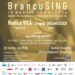 concert-brancusing-la-targu-jiu:-omagiu-muzical-dedicat-lui-constantin-brancusi,-la-150-de-ani-de-la-nastere-–-gazeta-de-sud