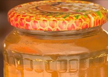 dupa-ani-cu-productii-record-de-miere,-apicultorii-romani-se-plang-ca-se-confrunta-cu-unul-dintre-cei-mai-slabi-ani-din-ultimul-deceniu.-care-e-cauza