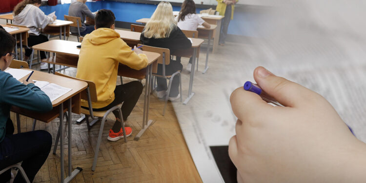 modele-de-subiecte-la-romana-la-simulare-bac-2026-–-hotnews.ro