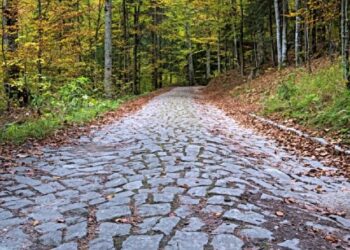 poteca-regala-din-sinaia-–-drumul-de-la-castelul-peles-la-poiana-stanii