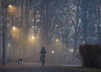 rusia-le-trimite-la-psiholog-pe-femeile-care-nu-vor-sa-aiba-copii-–-hotnews.ro