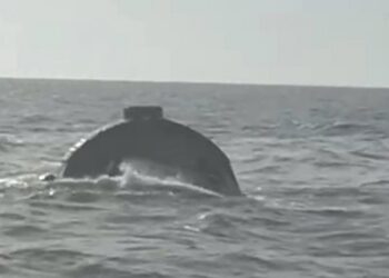 au-aparut-primele-imagini-cu-momentul-scufundarii-remorcherului-astana.-cinci-marinari-au-murit-in-urma-tragediei