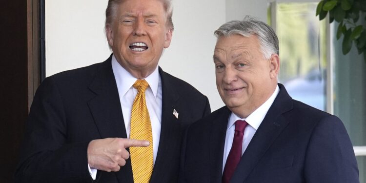 video-donald-trump,-mesaj-de-sustinere-deplina-pentru-viktor-orban,-un-lider-puternic-al-unei-tari-grozave:-sper-sa-castige-in-stil-mare-–-hotnews.ro