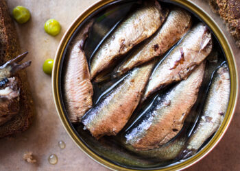 de-ce-recomanda-expertii-britanici-sa-avem-ciocolata-si-sardine-in-camara-ghid-pentru-provizii-in-caz-de-urgenta-facut-de-the-guardian-–-hotnews.ro