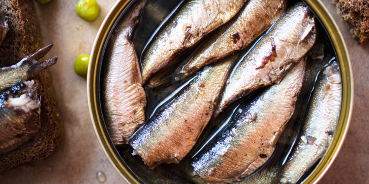 de-ce-recomanda-expertii-britanici-sa-avem-ciocolata-si-sardine-in-camara-ghid-pentru-provizii-in-caz-de-urgenta-facut-de-the-guardian-–-hotnews.ro