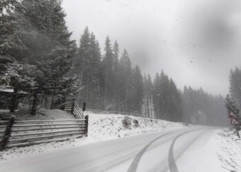 ninge-in-zonele-montane-din-suceava-si-alte-doua-judete.-drumarii-intervin-cu-mai-multe-utilaje-pe-soselele-acoperite-de-zapada
