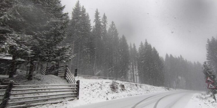ninge-in-zonele-montane-din-suceava-si-alte-doua-judete.-drumarii-intervin-cu-mai-multe-utilaje-pe-soselele-acoperite-de-zapada