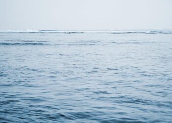 oceanele-au-ajuns-aproape-de-o-temperatura-record-ce-fenomen-prevesteste-–-hotnews.ro