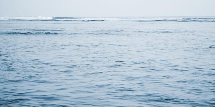 oceanele-au-ajuns-aproape-de-o-temperatura-record-ce-fenomen-prevesteste-–-hotnews.ro