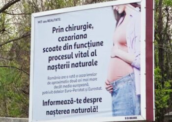 in-2026,-asa-ceva?-senatoarea-cynthia-paun-cere-interventie-de-urgenta-dupa-aparitia-unor-panouri-controversate