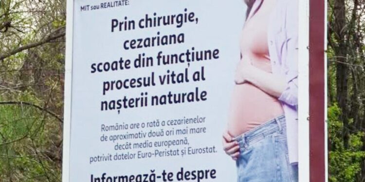 in-2026,-asa-ceva?-senatoarea-cynthia-paun-cere-interventie-de-urgenta-dupa-aparitia-unor-panouri-controversate