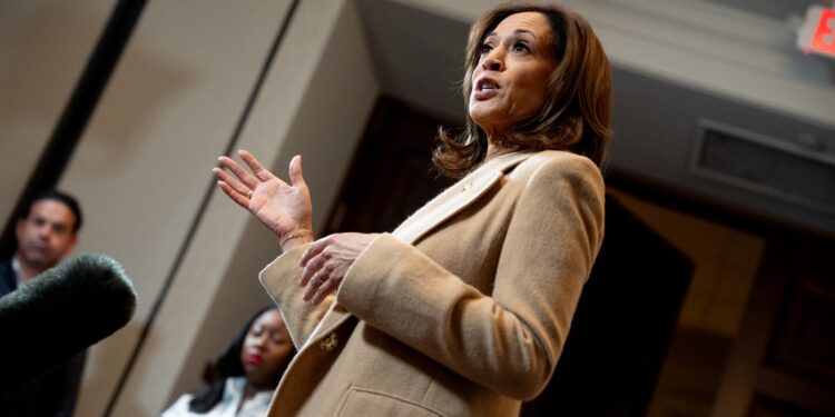 kamala-harris-ia-in-calcul-o-noua-candidatura-la-presedintia-sua-care-sunt-potentialii-rivali-democrati-la-nominalizare-–-hotnews.ro