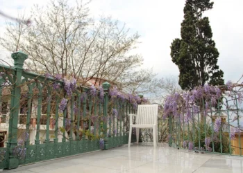 insulele-printilor-din-marea-marmara-–-gazeta-de-sud