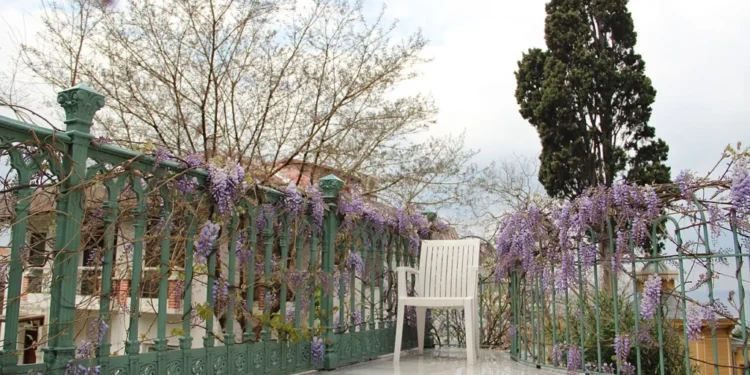 insulele-printilor-din-marea-marmara-–-gazeta-de-sud