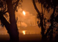 video-incendiu-urias-la-una-dintre-cele-doua-rafinarii-din-australia-–-hotnews.ro