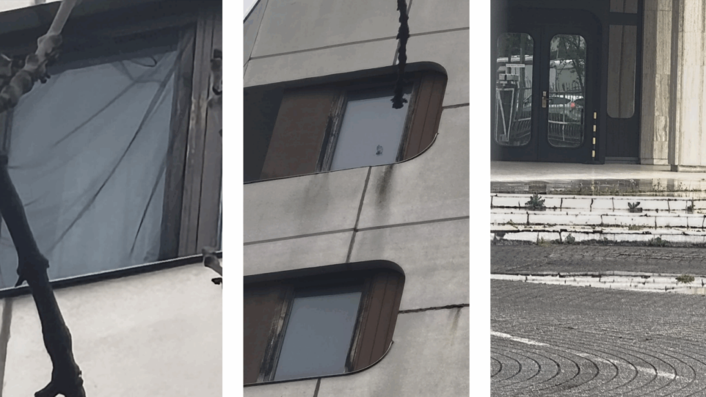 imagini-de-groaza-la-consulatul-din-bonn:-ne-tin-ca-pe-caini”