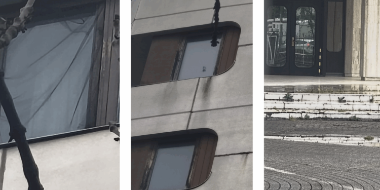 imagini-de-groaza-la-consulatul-din-bonn:-ne-tin-ca-pe-caini”