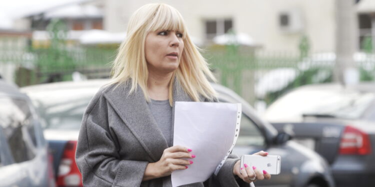 elena-udrea-intervine-in-privatizarea-companiilor-strategice:-guvernul-ar-trebui-sa-invete-din-lectiile-trecutului