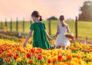 ce-poti-face-primavara-cu-5-euro-in-ungaria,-la-o-ora-de-timisoara.-tot-mai-multi-romani-iau-in-calcul-aceasta-varianta