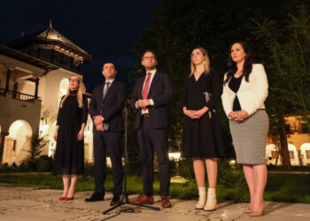 diana-buzoianu,-dupa-consultarile-cu-nicusor-dan:-suntem-parteneri-responsabili-care-vor-continua-reformele