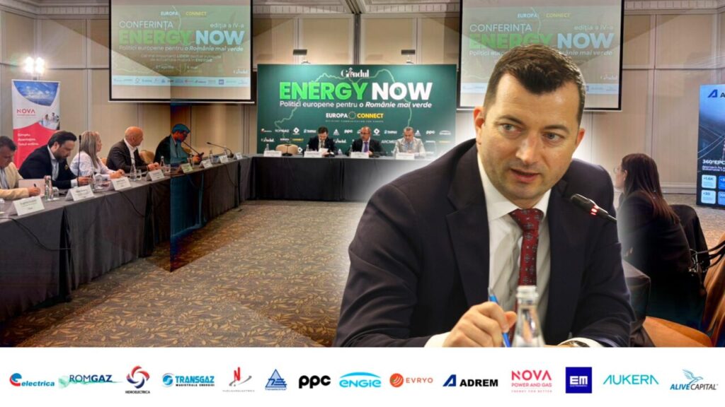 liviu-gavrila,-vicepresedinte-rwea,-la-gandul-energy-now:-trebuie-sa-acceleram-investitiile-pe-intreg-lantul