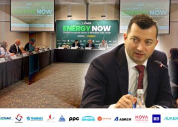 liviu-gavrila,-vicepresedinte-rwea,-la-gandul-energy-now:-trebuie-sa-acceleram-investitiile-pe-intreg-lantul
