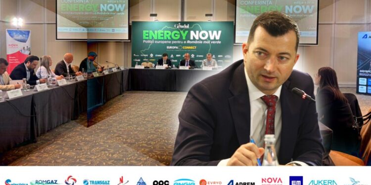 liviu-gavrila,-vicepresedinte-rwea,-la-gandul-energy-now:-trebuie-sa-acceleram-investitiile-pe-intreg-lantul