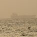 petrolier-capturat-de-pirati-in-largul-coastelor-yemenului:-mt-eureka-se-indreapta-fortat-spre-somalia-–-hotnews.ro