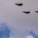 acord-de-zeci-de-miliarde-de-dolari,-semnat-de-israel-cu-companii-americane:-noi-flote-de-avioane-f-35-si-f-15ia-–-hotnews.ro