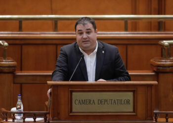 oana-gheorghiu-a-publicat-raspunsul-primit-de-la-deputatul-psd-adrian-solomon-dupa-apelul-ei-catre-parlamentari-inaintea-motiunii-–-hotnews.ro