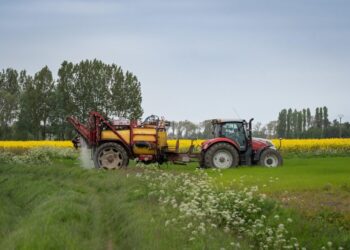 polonia-va-contesta-acordul-comercial-mercosur-la-instanta-suprema-a-ue