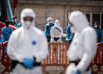 unul-dintre-francezii-repatriati-de-pe-nava-cu-hantavirus-a-prezentat-simptome-in-avion-toti-au-fost-plasati-in-izolare-stricta-–-hotnews.ro