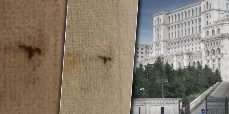 inca-un-loc-prin-care-n-au-trecut-cei-de-la-curatenie,-la-parlament