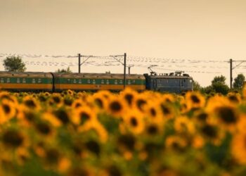 litoralul-pentru-toti-2026,-in-premiera-fara-trenuri-si-fara-operatori-privati