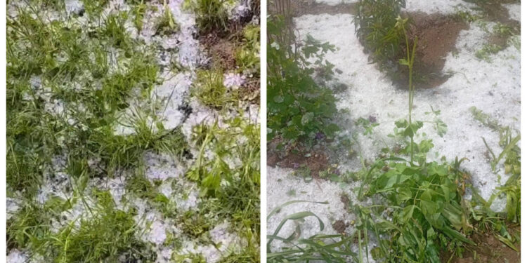 furtuni-puternice-au-facut-prapad-in-mai-multe-judete-din-tara.-a-plouat-cu-grindina,-iar-vantul-puternic-a-rupt-copaci-si-a-smuls-acoperisuri