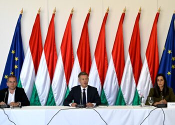 peter-magyar,-primul-gest-impotriva-rusiei,-in-chiar-prima-zi-de-mandat-de-la-bucuresti,-zelenski-a-reactionat-imediat-–-hotnews.ro