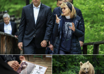 presedintele-poloniei-a-adoptat-un-urs-in-timpul-vizitei-in-romania-pentru-summitul-b9.-„faceti-cunostinta-cu-batyr”