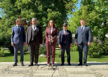 anamaria-gavrila,-dupa-consultari:-vom-sustine-orice-formula-pro-occidentala