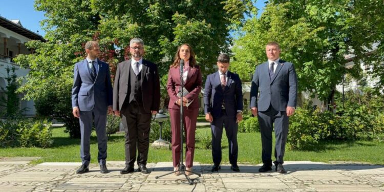 anamaria-gavrila,-dupa-consultari:-vom-sustine-orice-formula-pro-occidentala