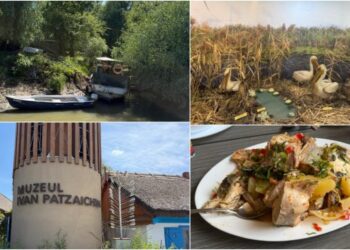 redescopera-tulcea:-o-calatorie-intre-delta-dunarii,-gastronomie-locala-si-experiente-autentice