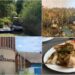 redescopera-tulcea:-o-calatorie-intre-delta-dunarii,-gastronomie-locala-si-experiente-autentice