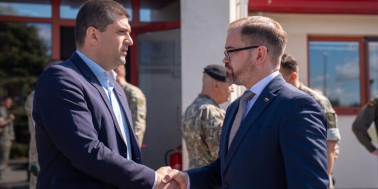 miruta-lauda-profesionalismul-militarilor-romani-dupa-reusitele-pe-flancul-estic