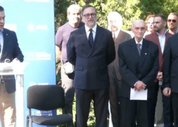 ciucu-numeste-obiectivele-pnl:-„sa-ne-lepadam-de-pesedism”