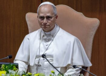 papa-a-vorbit-despre-inteligenta-artificiala,-cand-tot-mai-multi-oamenii-isi-pierd-increderea-in-ea-/-care-sunt-cele-mai-mari-temeri-–-hotnews.ro