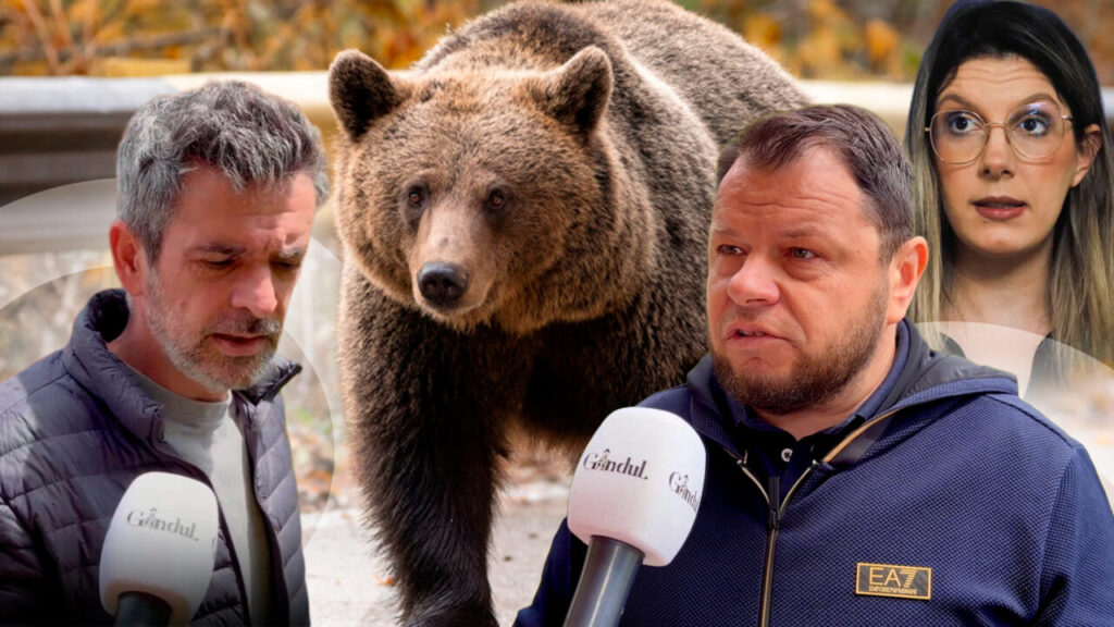 am-imagini-cu-sotia-alergata-de-urs-in-curte.-teroare-in-busteni