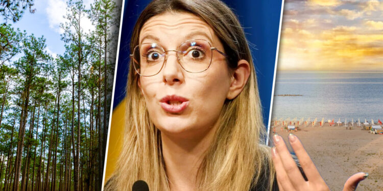 proiect-pilot-diana-buzoianu-incepe-„impadurirea-plajelor”-mamaia-navodari.-ce-copaci-vor-fi-plantati