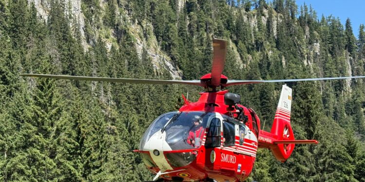 barbat-de-34-de-ani,-mort-in-judetul-sibiu-dupa-rani-provocate-cel-mai-probabil-de-un-urs-–-hotnews.ro