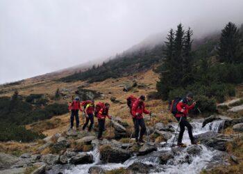 ursii-si-viperele-coboara-tot-mai-des-in-poteci-recomandarile-salvamont-pentru-turisti-in-aceasta-vara-–-hotnews.ro